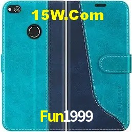 Login Seguro Fun1999